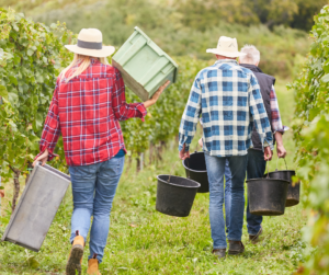Praca sezonowa - co warto o niej wiedzieć?